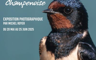 Expo | Evasion Champenoise
