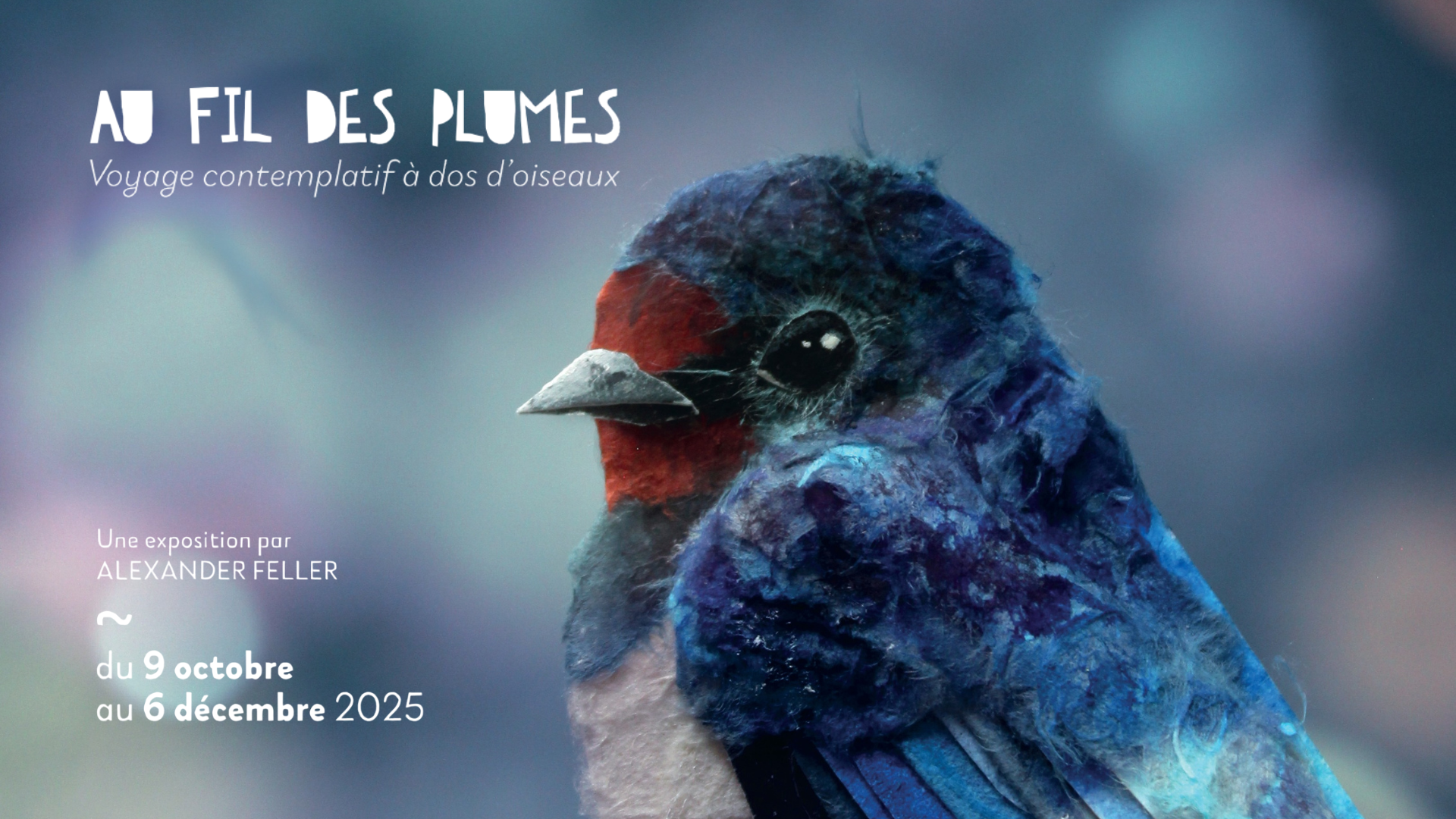Au fil des plumes, voyage contemplatif à dos d’oiseaux
